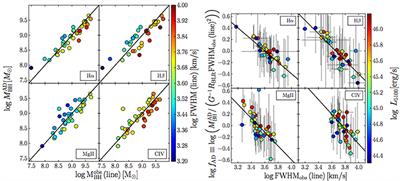 The Virial Factor and Biases in Single Epoch Black Hole Mass Determinations